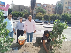 صورة الخبر